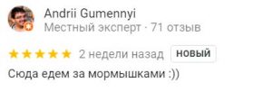 Отзывы о магазине Безмотылка в Украине