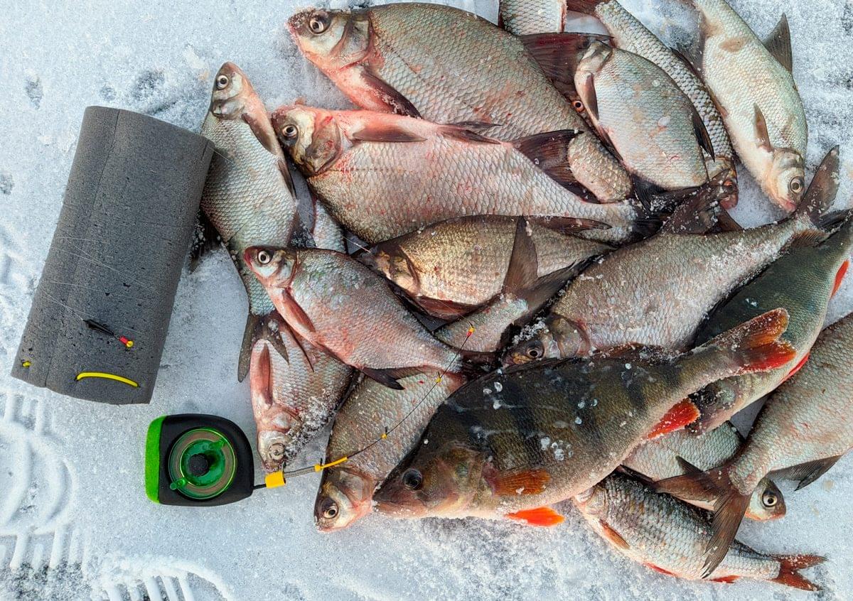 ловля на гирлянду