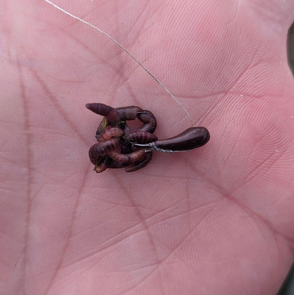 Летняя мормышка карасевая свинцовая уралка