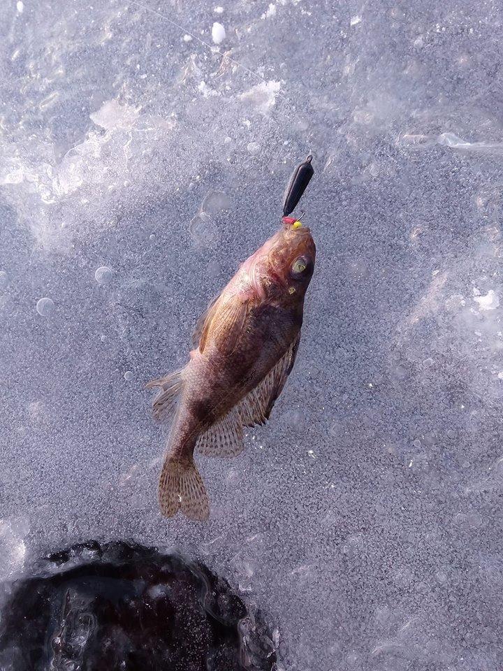 ерш на черт с подвесным тройником