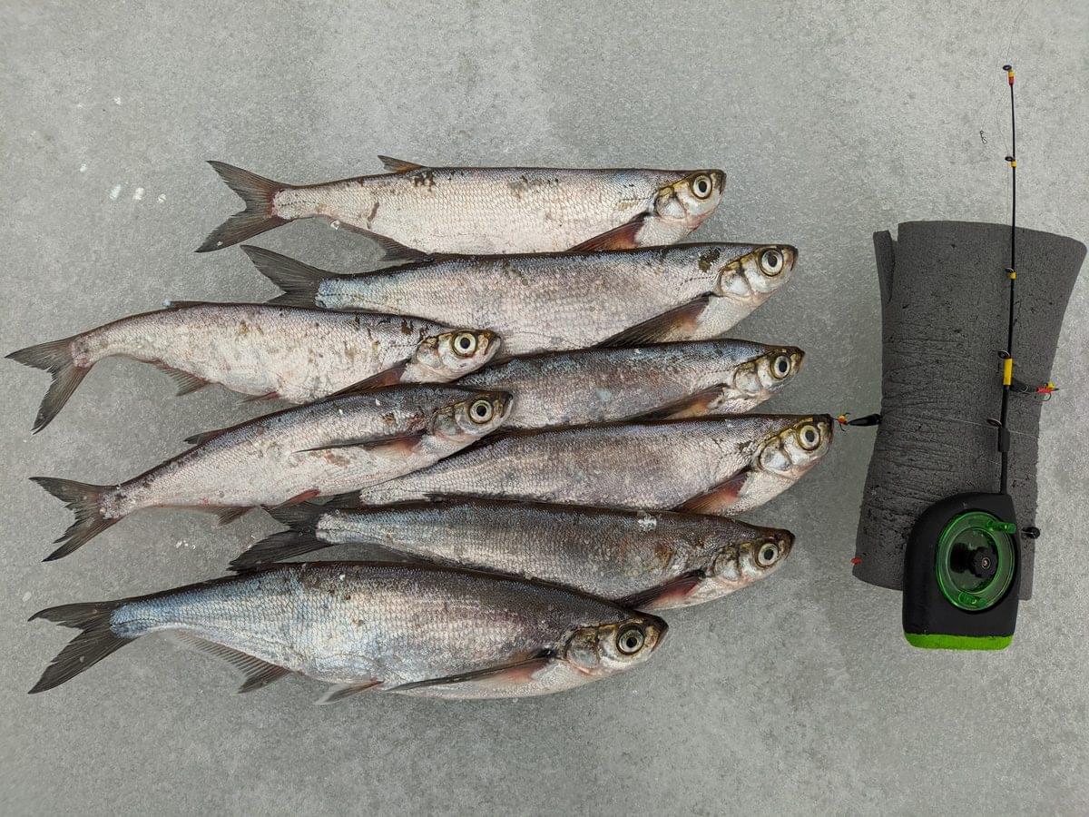 ловля на гирлянду